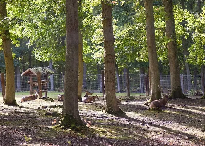 Nyaraló Maison De Charme 4 Les Moutiers-en-Cinglais